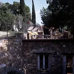 Uliveto Saglietto A Poggi