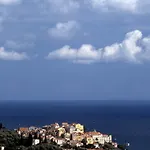 Uliveto Saglietto A Poggi *