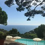 Uliveto Saglietto A Poggi