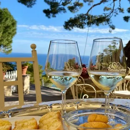 Uliveto Saglietto A Poggi * Imperia