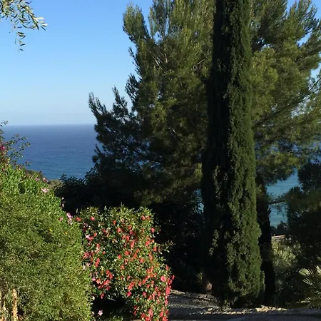 Uliveto Saglietto A Poggi