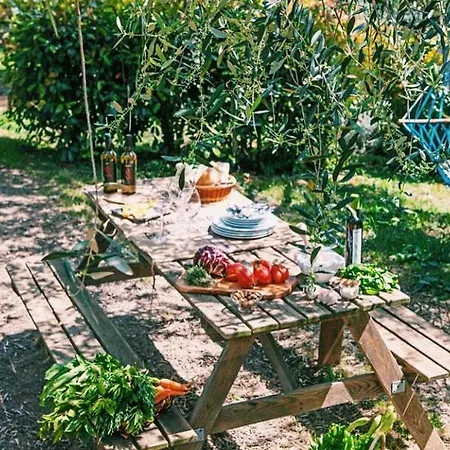 Vakantieboerderij Uliveto Saglietto Poggi Imperia
