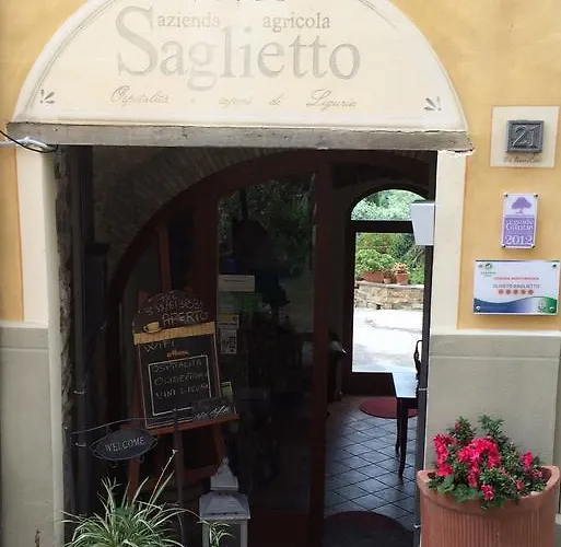 Uliveto Saglietto A Poggi