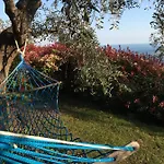 Uliveto Saglietto A Poggi Bauernhof Imperia