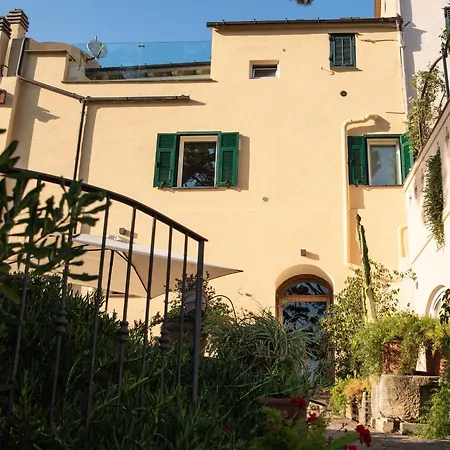 Uliveto Saglietto A Poggi * Imperia