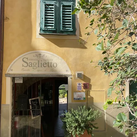 Uliveto Saglietto Poggi Bauernhof Imperia