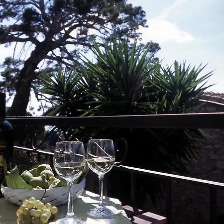Uliveto Saglietto A Poggi Farm stay *