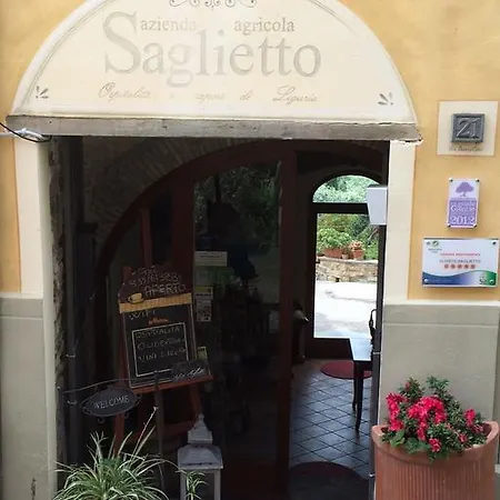 Uliveto Saglietto A Poggi