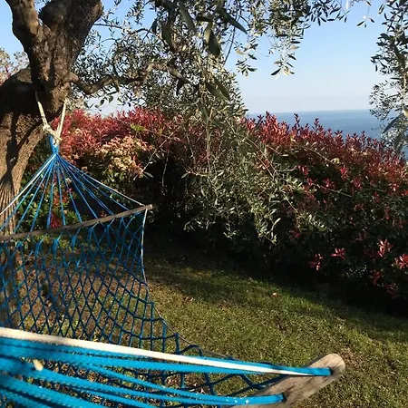 Uliveto Saglietto Poggi Feriegård Imperia